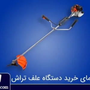 کدام علف زن بهتر است