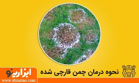 عکس چگونه قارچ چمنزار را از بین ببریم؟ 1 قارچ چمنی