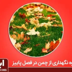 نگهداری از چمن در فصل پاییز