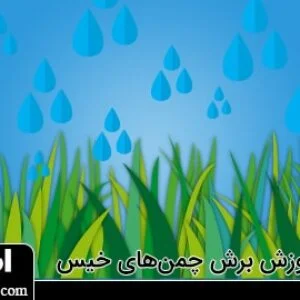 روش کوتاه کردن چمن های خیس