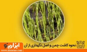 عکس وبلاگ 22 نحوه کاشت چمن