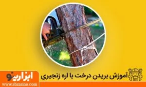 بریدن قطع درخت با اره زنجیری