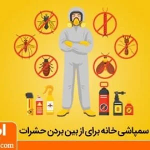 نحوه سمپاشی خانه برای از بین بردن ساس