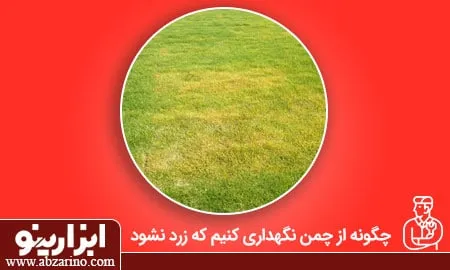 علت زرد شدن چمن