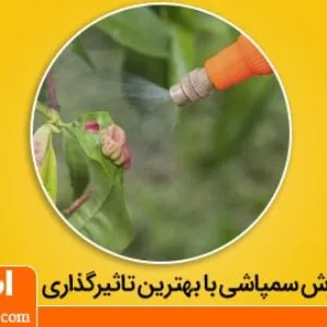 تاثیرگذاری خوب سموم