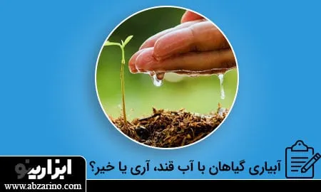 آبیاری گیاهان با آب قند